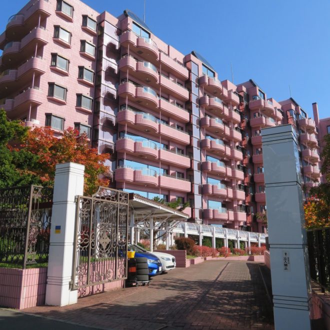 パームヒル藻岩