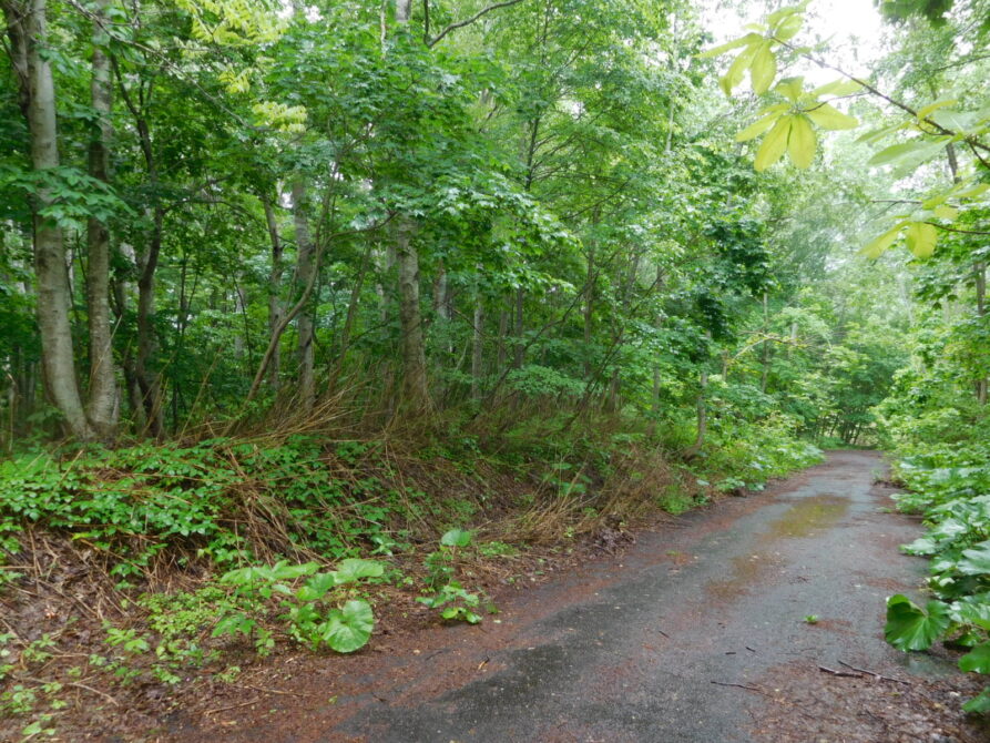 倶知安町字山田46