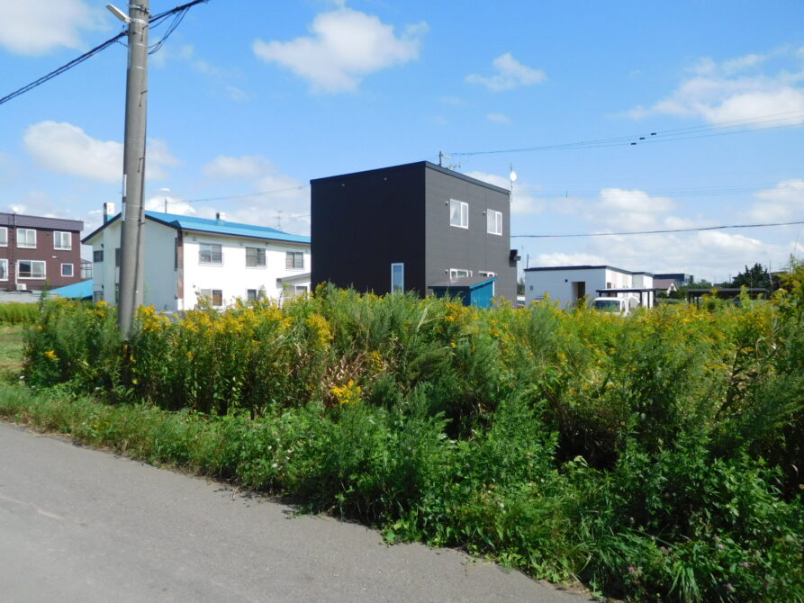 東米里2046　資材置場など