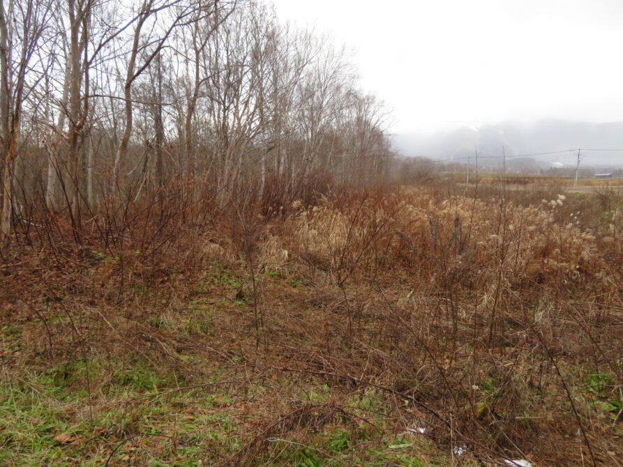 ニセコ町字曽我