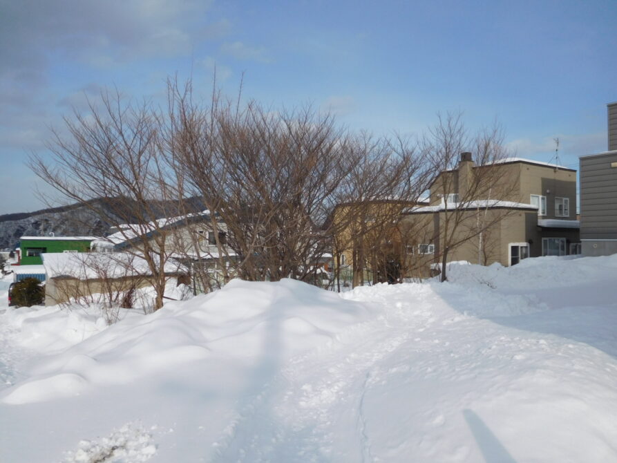 藤野６条４丁目